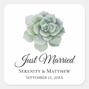 Succulent Sage Green Rustic Floral Just Married Square Sticker