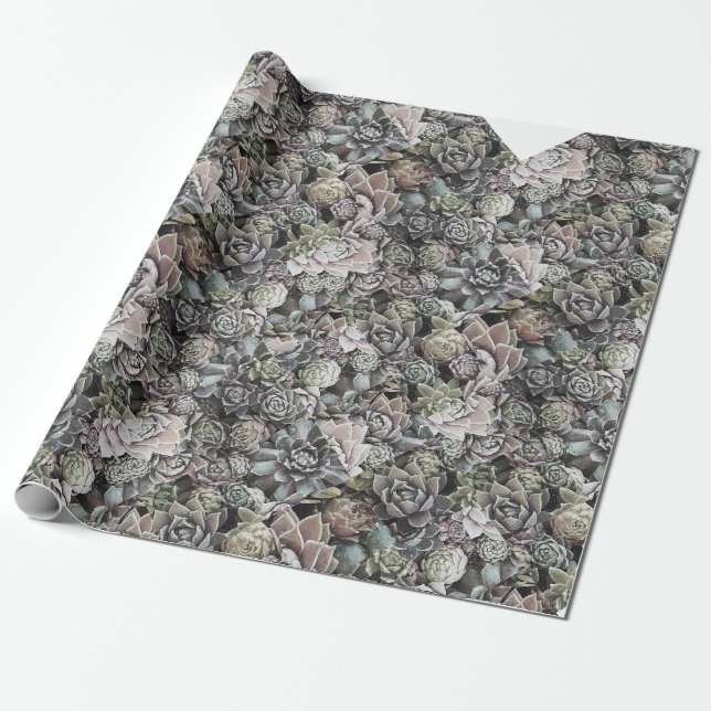 Succulent Sempervivums - Large and Muted Wrapping Paper (Unrolled)