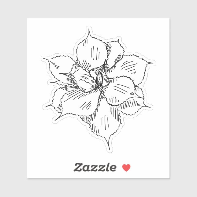 Succulent Sticker (Sheet)