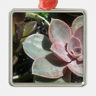 #succulent, Succulent plant, pretty pink succulent Metal Ornament