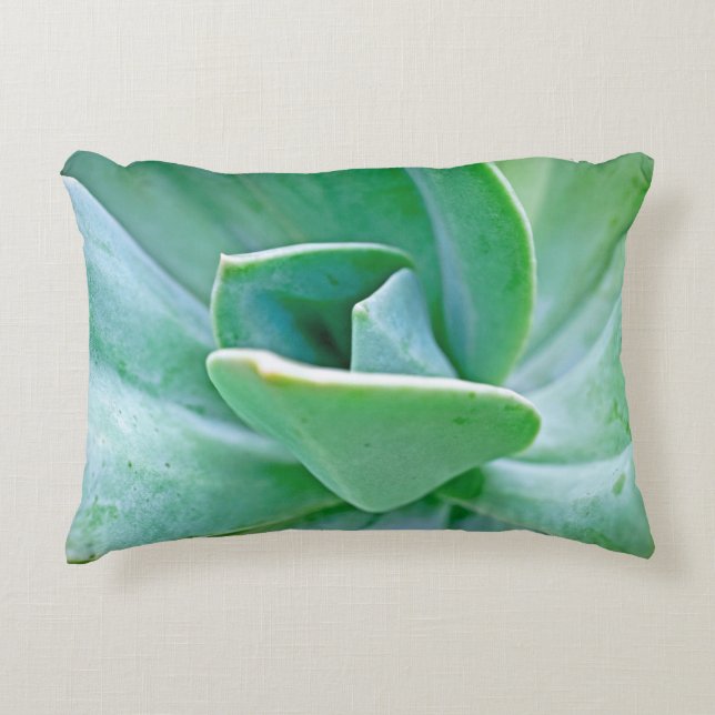 Succulent Swirl Accent Pillow (Front)