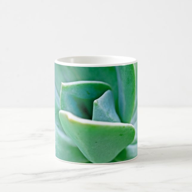 Succulent Swirl Coffee Mug (Center)