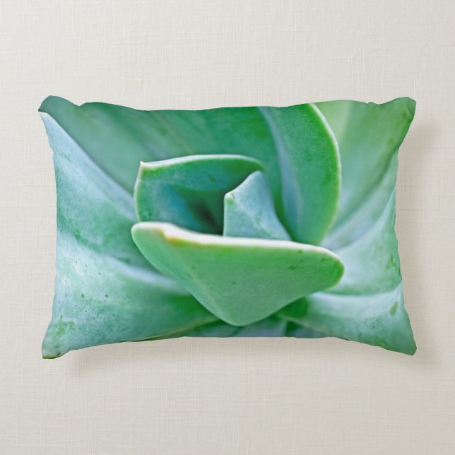 Succulent Swirl Decorative Pillow (Front)