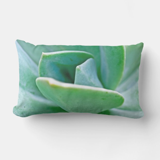 Succulent Swirl Lumbar Pillow (Front)