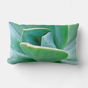 Succulent Swirl Lumbar Pillow
