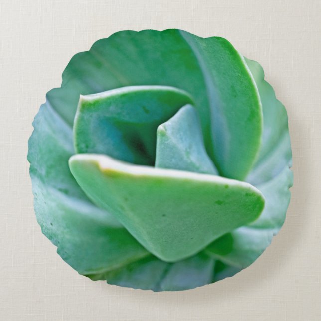 Succulent Swirl Round Pillow (Front)
