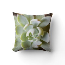 Succulent Throw Pillow