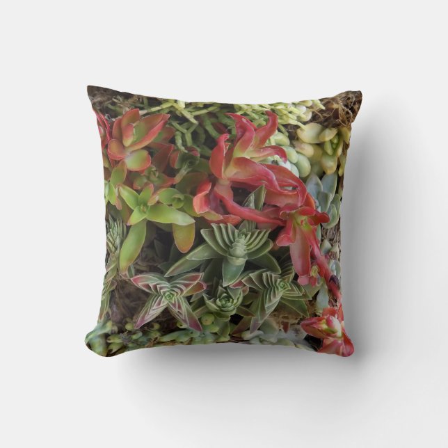 Succulent Throw Pillow (Front)