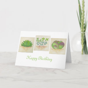 Succulent Trio birthday card