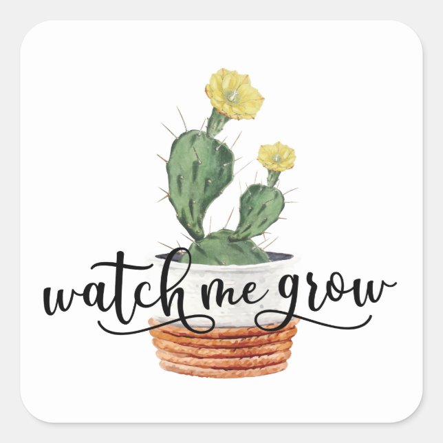 Succulent Watch Me Grow Sticker (Front)