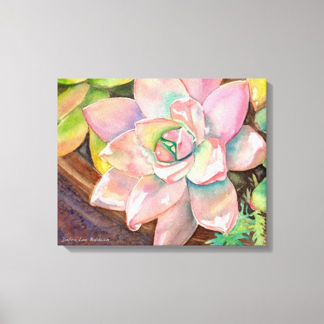 Succulent Watercolor by Debra Lee Baldwin Canvas Print (Front)