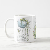 Succulent Watercolor Illustration Coffee Mug