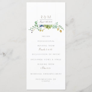 Succulent Watercolor   Initial   Program