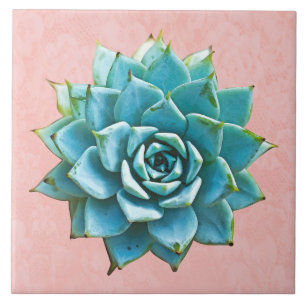 Succulent Watercolor on Blush Pink Lace Tile