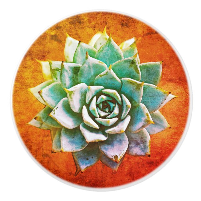 Succulent Watercolor on Orange Rust Ceramic Ceramic Knob (Front)