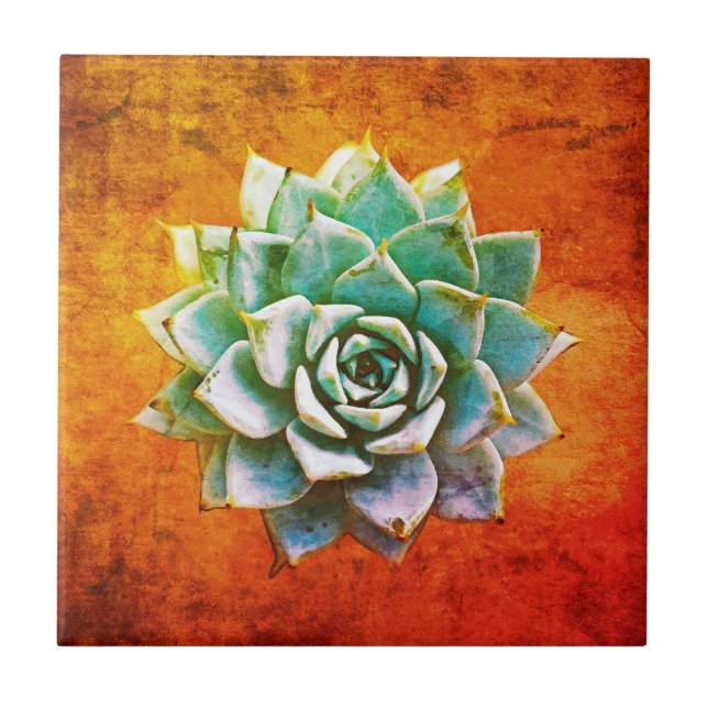 Succulent Watercolor on Orange Rust Tile (Front)