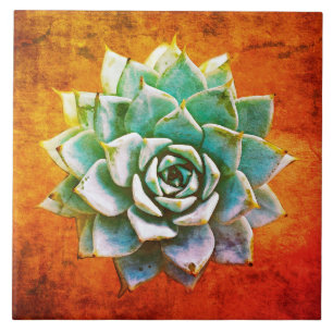 Succulent Watercolor on Orange Rust Tile