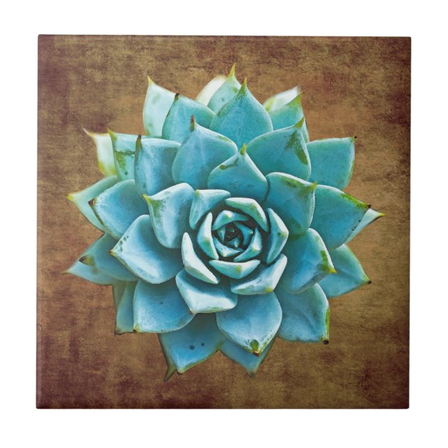 Succulent Watercolor on Rustic Brown Tile (Front)