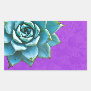 Succulent Watercolor Purple Lace Sticker
