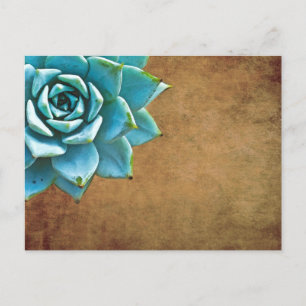 Succulent Watercolor Rustic Brown Postcard