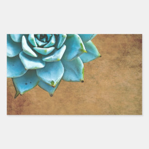 Succulent Watercolor Rustic Brown Sticker