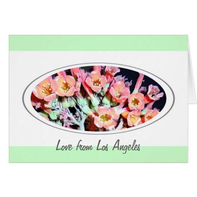 Succulent "Weed" (Front Horizontal)