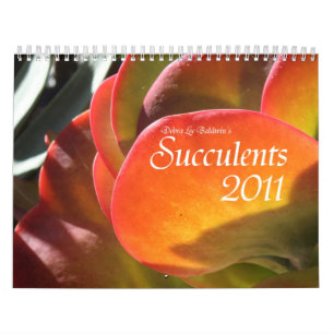 Succulents 2011 calendar