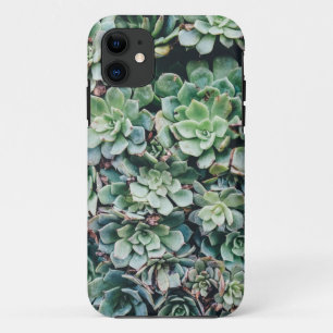Succulents 2 iPhone 11 case
