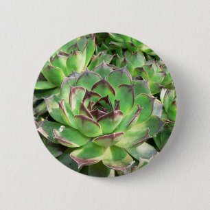 Succulents 2 Inch Round Button