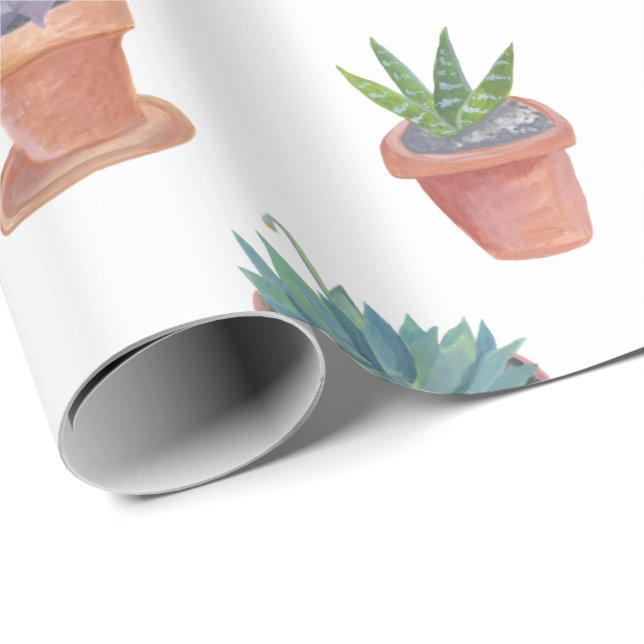 Succulents and cacti on white background gift wrap (Roll Corner)