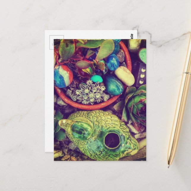 Succulents and Cute Garden Art Postcard (Front/Back In Situ)