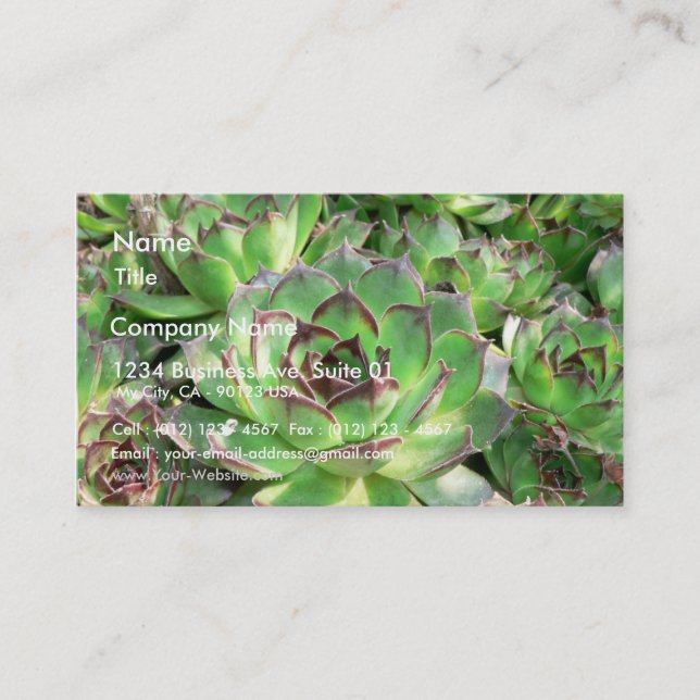 Succulents Business Card (Front)