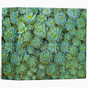 Succulents - Echeveria plant Binder