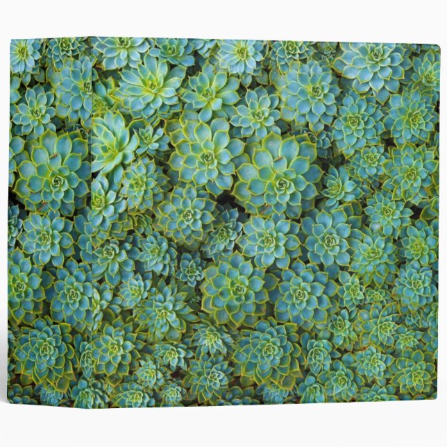 Succulents - Echeveria plant Binder (Front/Spine)