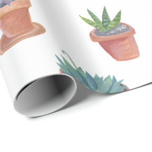 Succulents et cactus sur emballage cadeau arrière 