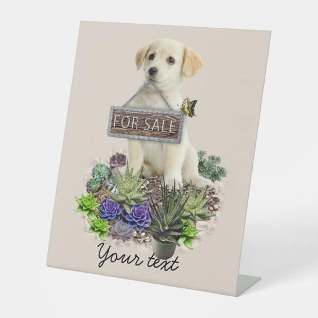 Succulents for sale  pedestal sign (Front)