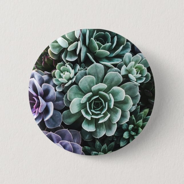 Succulents Green Plants Nature 2 Inch Round Button (Front)