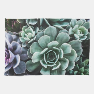 Succulents Green Plants Nature Kitchen Towel