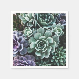 Succulents Green Plants Nature Napkin