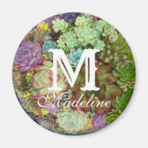 Succulents in Planter Magnet