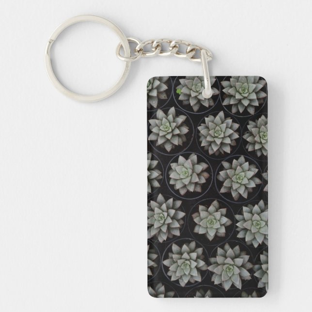 Succulents in Pots Keychain (Front)