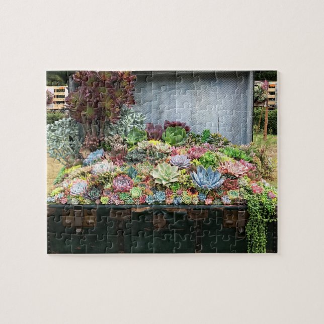Succulents in Treasure Chest Jigsaw Puzzle (Horizontal)