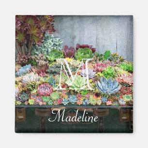Succulents in Treasure Chest Magnet