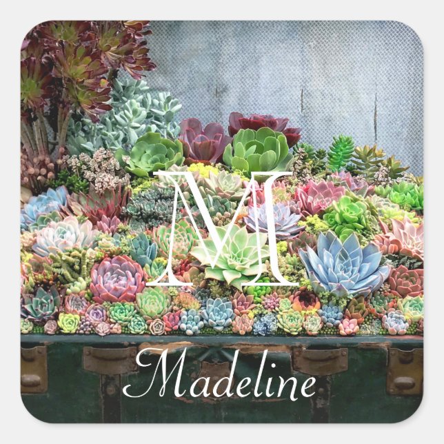 Succulents in Treasure Chest Square Sticker (Front)