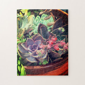 Succulents Jigsaw Puzzle