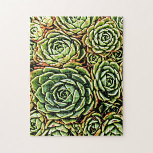 Succulents Jigsaw Puzzle