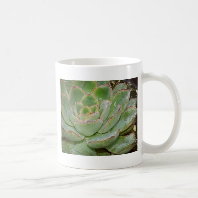 Succulents Macro Photography  Coffee Mug (Right)