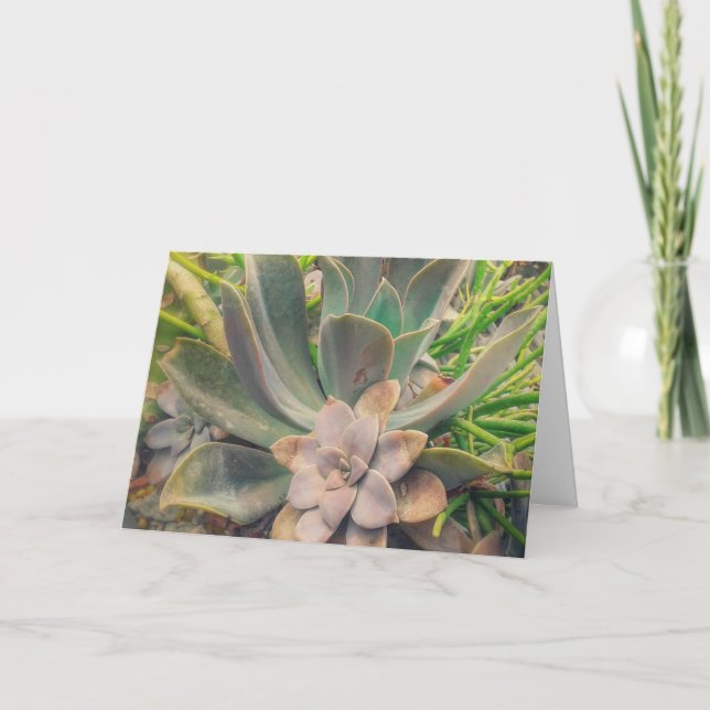 Succulents, Mother's Day Card (Front)