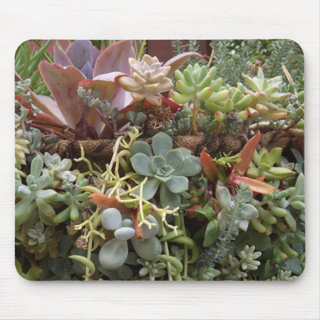 Succulents Mouse Pad (Front)