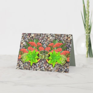 Succulents on garden pebbles announcement